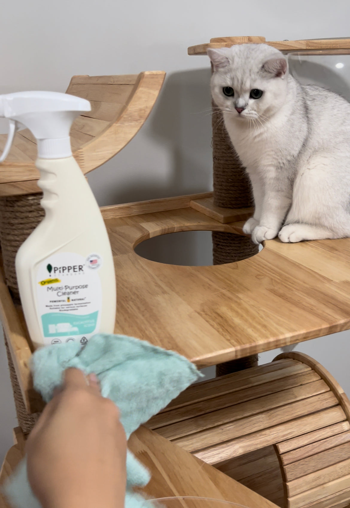 PiPPER STANDARD Multi-Purpose Cleaner - Eucalyptus 500ml